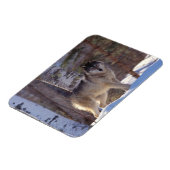 Gray Wolf Magnet (Linke Seite)