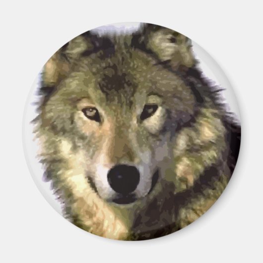 Gray Wolf Magnet (Vorne)
