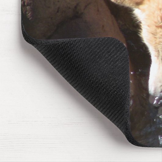 Gray Wolf Mousepad (Ecke)