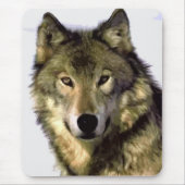 Gray Wolf Mousepad (Vorne)