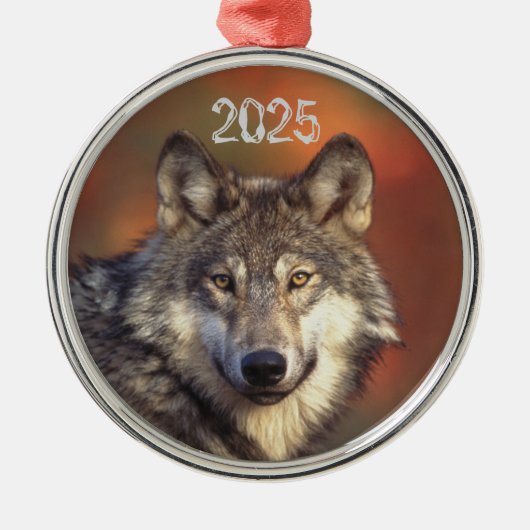 Gray Wolf Ornament (Vorne)