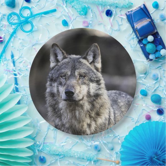 Gray Wolf Pappteller (Party)