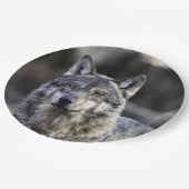 Gray Wolf Pappteller (Schrägansicht)