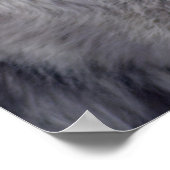 Gray Wolf Pose-168 Poster (Ecke)