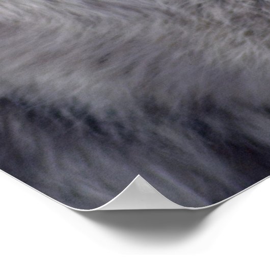 Gray Wolf Pose-168 Poster (Ecke)