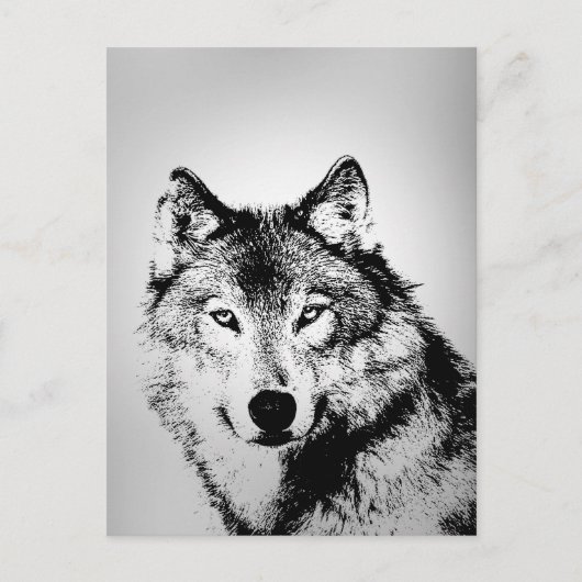 Gray Wolf Postcard Postkarte (Vorderseite)