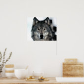 Gray Wolf Poster (Küche)