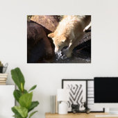 Gray Wolf Poster (Heimbüro)