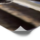 Gray Wolf Poster (Ecke)