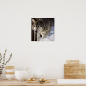Gray Wolf Poster (Küche)