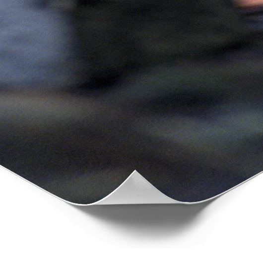 Gray Wolf Poster (Ecke)