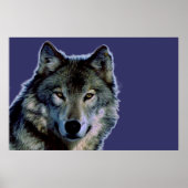 Gray Wolf Poster (Vorne)