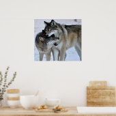 Gray Wolf Poster (Küche)