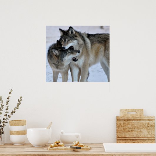 Gray Wolf Poster (Küche)