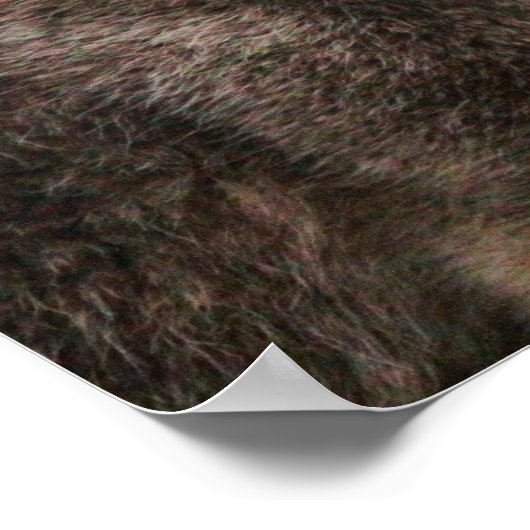 Gray Wolf Poster (Ecke)