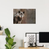 Gray Wolf Poster (Heimbüro)