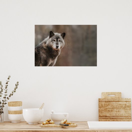 Gray Wolf Poster (Küche)
