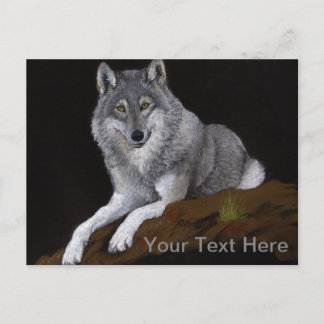 Gray Wolf Postkarte