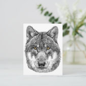 Gray Wolf Postkarte (Stehend Vorderseite)