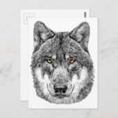 Gray Wolf Postkarte (Vorne/Hinten)