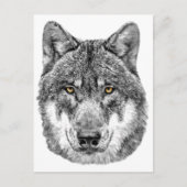 Gray Wolf Postkarte (Vorderseite)