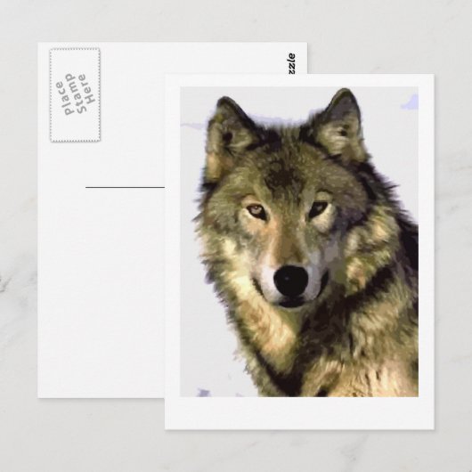 Gray Wolf Postkarte (Vorne/Hinten)