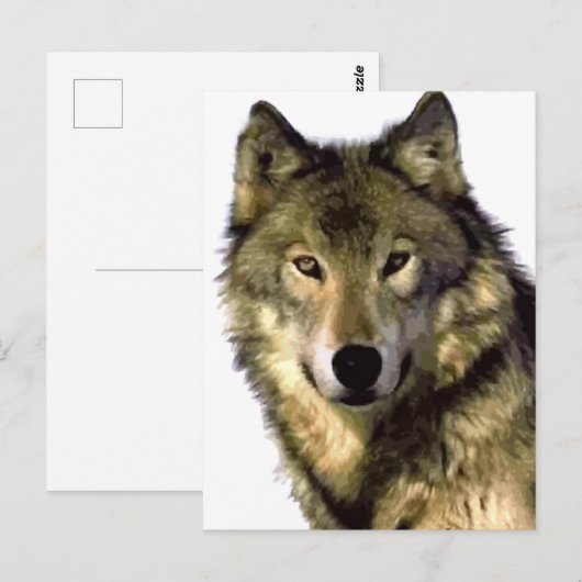 Gray Wolf Postkarte (Vorne/Hinten)