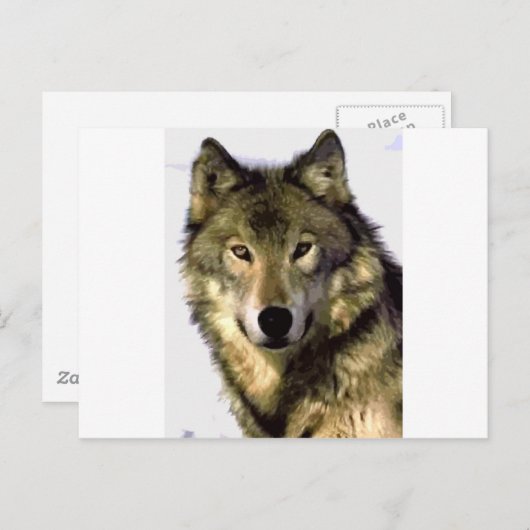Gray Wolf Postkarte (Vorne/Hinten)