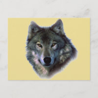 Gray Wolf