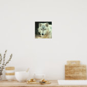 Gray Wolf Print Poster (Küche)