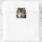 Gray Wolf Quadratischer Aufkleber (Tasche)