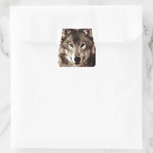 Gray Wolf Quadratischer Aufkleber (Tasche)