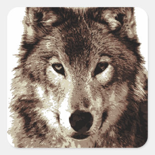 Gray Wolf Quadratischer Aufkleber