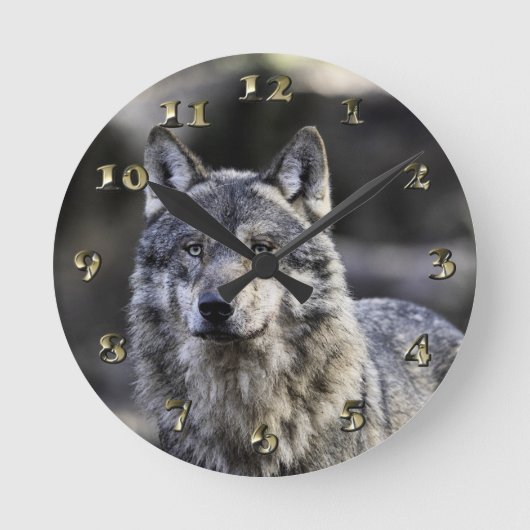 Gray Wolf Runde Wanduhr (Vorderseite)
