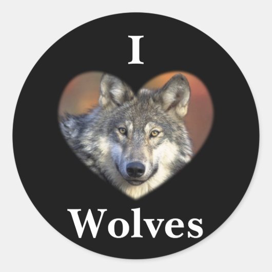 Gray Wolf Runder Aufkleber (Vorderseite)