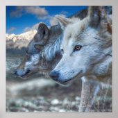 Gray Wolf SENTINELS Poster (Vorne)