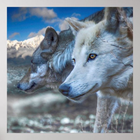 Gray Wolf SENTINELS Poster (Vorne)