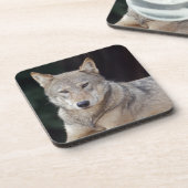Gray Wolf Set von 6 Untersetzer (Linke Seite)