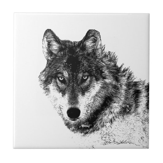 Gray Wolf Sketch Artwork Fliese (Vorderseite)