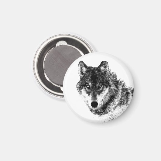 Gray Wolf Sketch Artwork Magnet (Vorderseite/Rückseite)