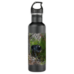 Gray Wolf Stalking im Foto der Waldwild Trinkflasche