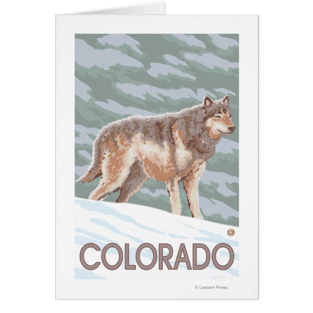 Gray Wolf StandingColorado (Vorne)