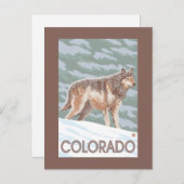 Gray Wolf StandingColorado Postkarte (Vorne/Hinten)