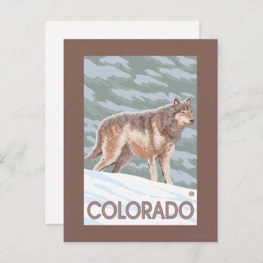 Gray Wolf StandingColorado Postkarte (Vorne/Hinten)