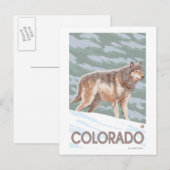 Gray Wolf StandingColorado Postkarte (Vorne/Hinten)