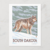 Gray Wolf StandingSouth Dakota Postkarte (Vorderseite)