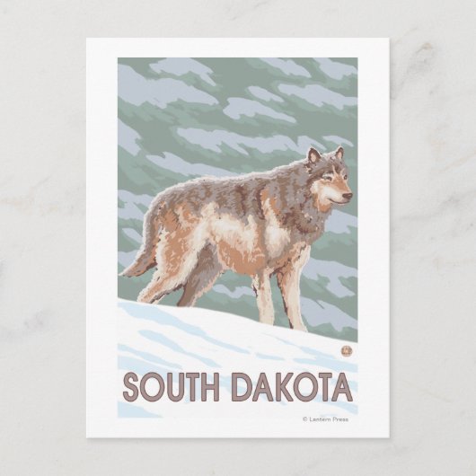 Gray Wolf StandingSouth Dakota Postkarte (Vorderseite)