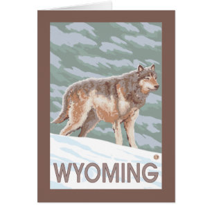 Gray Wolf StandingWyoming