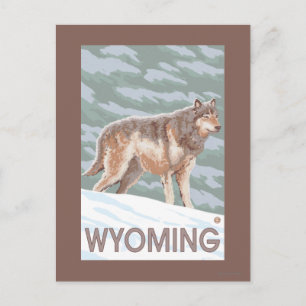 Gray Wolf StandingWyoming Postkarte