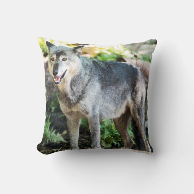 Gray Wolf Stehend alleine Kissen (Vorderseite)